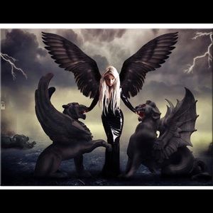 Meet your Posher, Steve